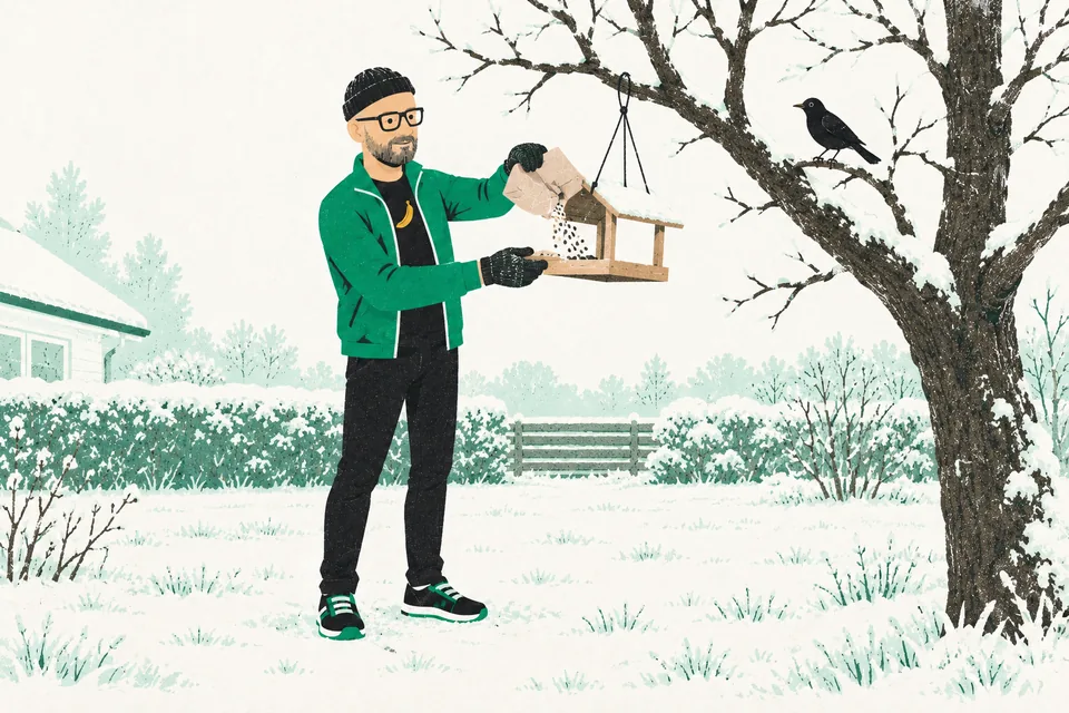 Tecknade Svenne i mössa och vantar häller fröer i en fågelmatare som hänger i ett snöigt äppelträd, medan en koltrast sitter på en gren och väntar.